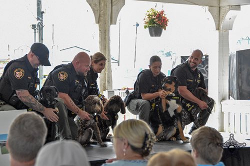 crisis-k9-swearing-in3_edited.jpg crisis-k9-swearing-in3_edited.jpg